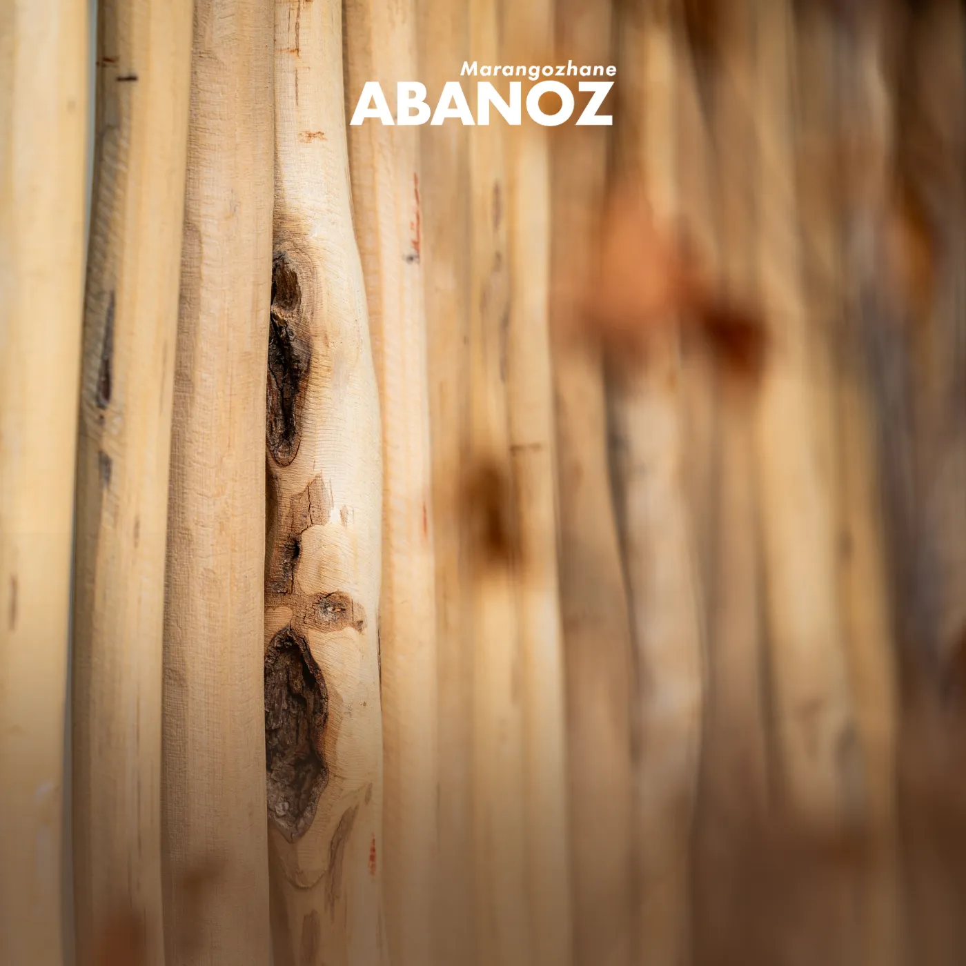 Marangozhane Abanoz